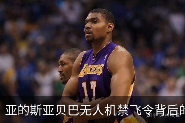 亚的斯亚贝巴无人机禁飞令背后的深层原因